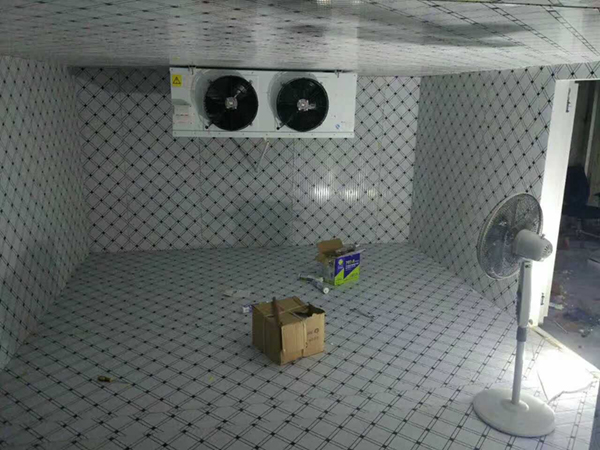 颍泉区超低温冷库设计